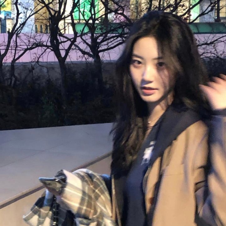 南布朗克斯的骑士